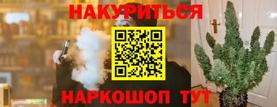 бошки Новодвинск
