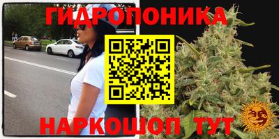 бошки Новодвинск